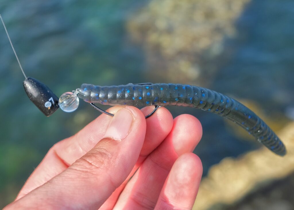 Senko rigged worm, weedless style